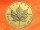 1 oz. Maple Leaf gold coin Canada