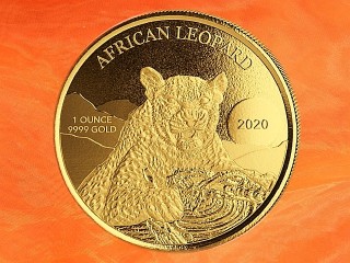 1 Unze African Leopard Goldmünze PP Ghana 2020 (Auflage 100)