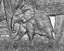 1 Unze Somalia Elefant Privy TIGER African Wildlife Silbermünze 2022 (Auflage 5.000)