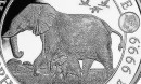 1 Unze Somalia Elefant Privy TIGER African Wildlife Silbermünze 2022 (Auflage 5.000)
