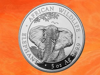 5 Unzen Somalia Elefant African Wildlife Silbermünze 2021
