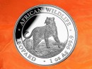 1 oz. Somalia Leopardt African Wildlife silver coin 2022...