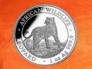 1 Unze Somalia Leopard African Wildlife Silbermünze 2022 (Auflage 30.000)