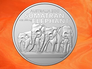 1 Unze Australia Zoo Sumatra Elefant Silbermünze Australien RAM 2022 (Auflage 25.000)