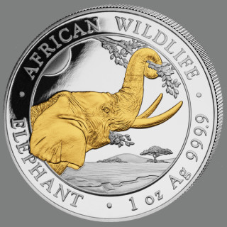 1 Unze Somalia Elefant mit Goldveredelung gilded African Wildlife Silbermünze 2023 (Auflage 3.000)