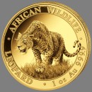 1 oz. Somalia Leopard African Wildlife gold coin Somalia 2023 (mintage 1.000)