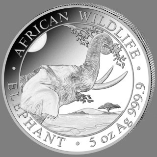 5 Unzen Somalia Elefant African Wildlife Silbermünze 2023